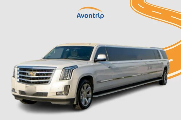 Cadillac Transformers White Limo